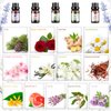 Essential Oils Set, Aromatherapy Essential Oil Kit for Diffuser, Massage, Skin Care (26 x 5ml) - Eucalyptus, Lavender, Tea Tree, Peppermint, Lemongrass, Frankincense, Cinnamon, Sandalwood