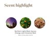 Christmas Spirit Essential Oil Blend by Young Living - 5ml Bottle for Holiday Cheer - Joyful and Festive Aroma - 100% Pure, Therapeutic-Grade Essential Oil