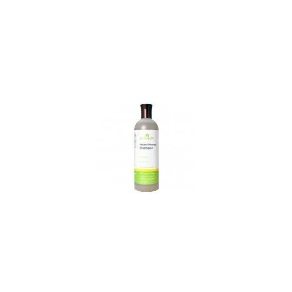 Adama Minerals Zion Health Clarifying Shampoo 16 oz Liquid