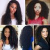 Clip In Hair Extensions Real Human Hair Curly Weave 100% Unprocessed Brazilian Kinky Curly Hair Double Weft Short Clip Ins 8 Pieces/Lot 135g with 18 Clips (12", Curly)