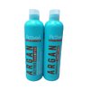 Activee Professional Argan Oil Salt Free Hair Shampoo 16 fl. oz.