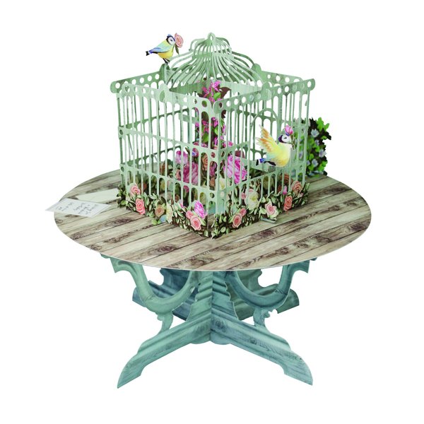Paper D'Art 3D Pop Up Birdcage Greeting Card