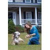 PetSafe Stay+Play Wireless Receiver Collar Blk