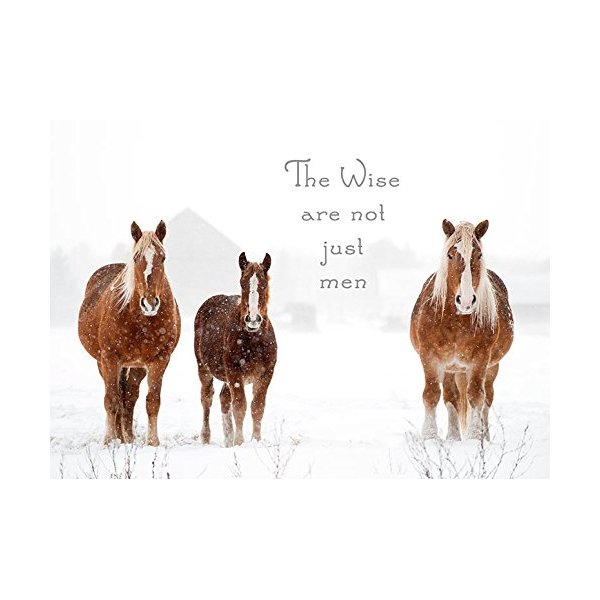 The Wise are not just men Belgian Horse Christmas Cards - 10 cards with white envelopes