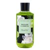 Generic Bath and Body Work Wild Lime & Gardenia Shea + Vitamin E Shower Gel Value Pack - Set of 3, Full Size, Green
