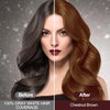 Gemtoy Chestnut Brown Herbal Hair Color Shampoo for Gray Coverage - Instant Natural 3-in-1 Coloring for Women and Men (500ML)