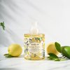ROMIIE ZOI Foaming Hand Soap with Gift Box- Sicilian Lemon - Biodegradable Formula Moisture & Revitalize - 500ml/ 16.8oz