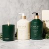 L'AVANT Collective Hand Soap & Dish Soap Bundle Winter Fir | High Performing Formula Luxurious Ingredients Soft & Smooth Hands & Dishes | 2 Glass Bottles Kitchen Accessories Home Decor Hostess Gifts