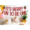 It's Berry Fun to be One Banner, Strawberry 1st Birthday Decorations, Berry Sweet One Baby Shower Decoration, First Baby Girls One Year Old Birthday Party Supplies Red Green