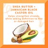 Cantu shea butter maximum hold strengthening styling gel with jamiaican black castor oil, 18.5 Ounce
