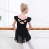 DIPUG Girls Ballet Leotards with Removable Skirt Toddler Flutter Sleeve Criss Cross Back Dance Leotard Combo 4t 5t 6 Black