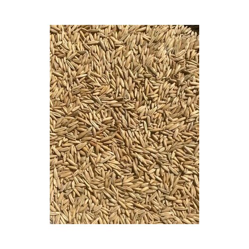 10# MashroommediaOnline 100% Organic Oat Hull Pellets