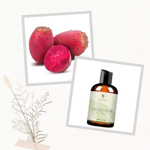 Prickly Pear Skin Care Deep Cleansing Oil - Includes Hair Loving Oils - 100% Prickly Pear Oil, Jojoba Oil, Marula Oil, Vitamin E Oil, &Lavender Essential Oil - Packaging May Vary. (4 oz)
