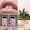 Lipsense Bravo Long Lasting Lip Color (Bravo Only)