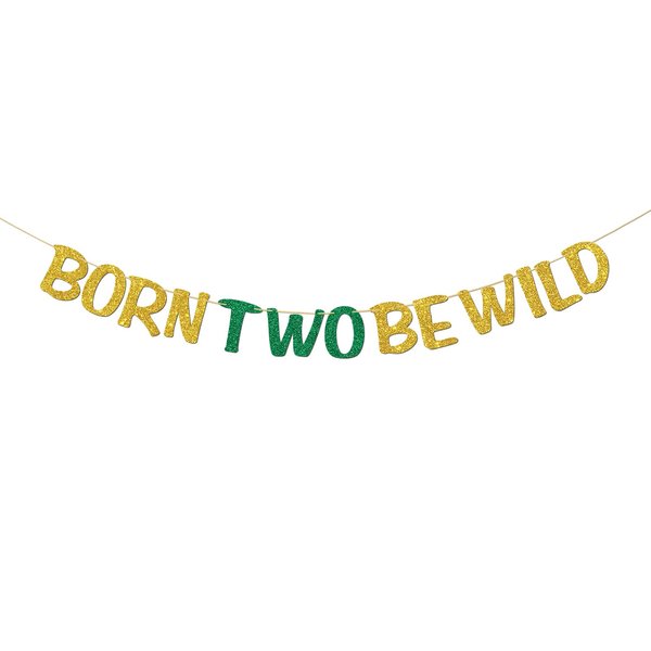 RoadSea Born Two Be Wild Banner - Boy Girl Kid 2nd Birthday Party Supplies - Baby Shower Idea and Gift - Two Years Old Birthday Party Decorations - Gold Glitter