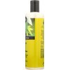 Bulk Saver Pack 12x12 FZ : Shikai Products Shower Gel - Cucumber Melon