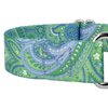Country Brook Petz - Green Paisley Martingale Collar and Leash - Paisley Collection Featuring Classy Designs (1 Inch, Medium)