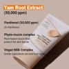 ISNTREE Yam Root Milk Tone Up Sun Cream 50ml, 1.69 fl.oz | Moisturizing tinted SPF50+ PA++++ | Natural Coverage | Vegan skincare | Korean skin care