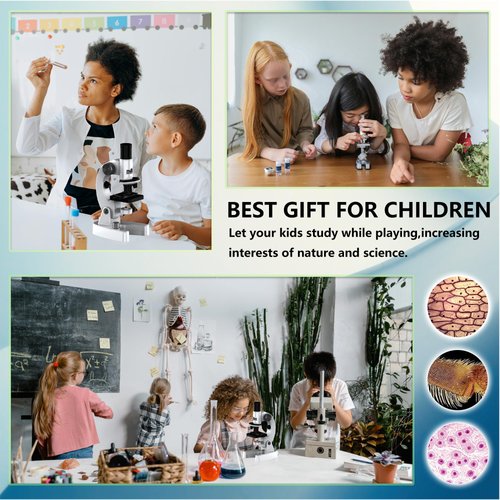 ARTFILIF Up to 4800X Zoom Microscope for Kids High Magnification Biological Microscope Science Educational Microscope Kids Microscope with Microscope Slides and Specimens (A)