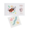 Daydream Society Backyard Bugs - Kids Temporary Tattoos - Pack of 2 Bug Designs with Gold Foil - Insect Party Favors - Decorations For Birthdays, Nature Themed Parties, and Summer Gatherings