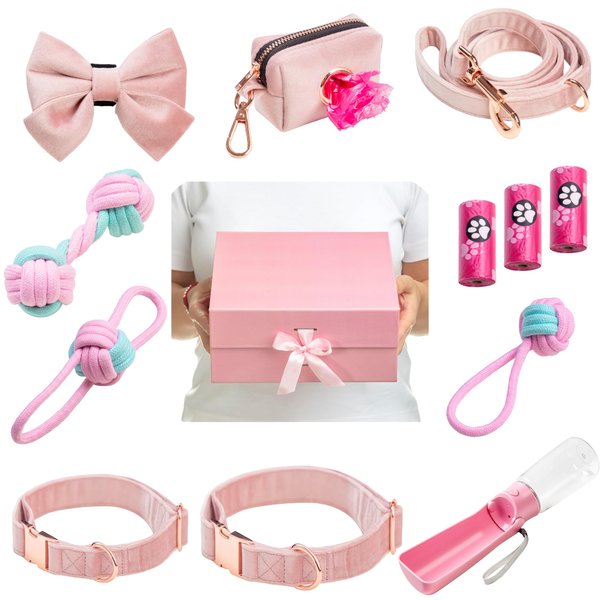 New Puppy Gift Basket for Puppy Owners with Pink Girl Dog Accessories in a Premium Gift Box