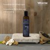Westin White Tea Aloe Conditioner - Lightweight Condition for All Hair Types to Repair Hair and Boost Shine - Signature White Tea Aloe Scent - 8 ounces