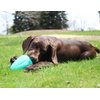 Chew King Premium Treat Dog Toy, XL, Extremely Durable Natural Rubber Toy, Pack of 2, All Breed Sizes