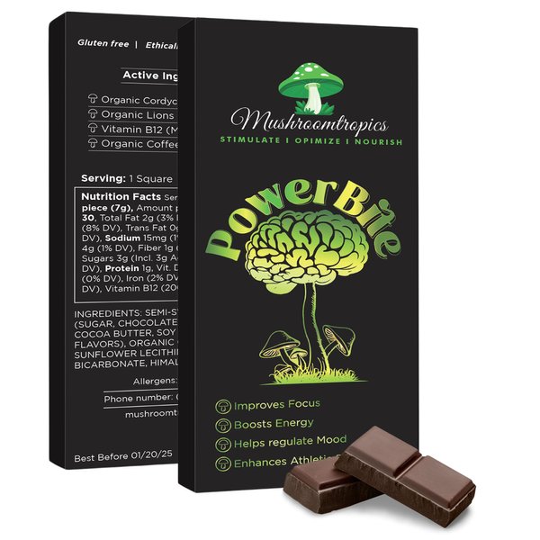 Mushroomtropics PowerBite Adaptogen Mushroom Chocolate Bar with Lion’s Mane and Cordyceps, Vitamin B12 and Coffee for Energy, Focus, Stamina and creativity | Functional Mushrooms Health Benefits