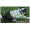 ToolUSA Reflective Small Dog Vest | 50.8 cm x 30.5 cm | 3m Retractable LED Leash | Night Safety Flashing Light | Walking Kit for Enhanced Visibility
