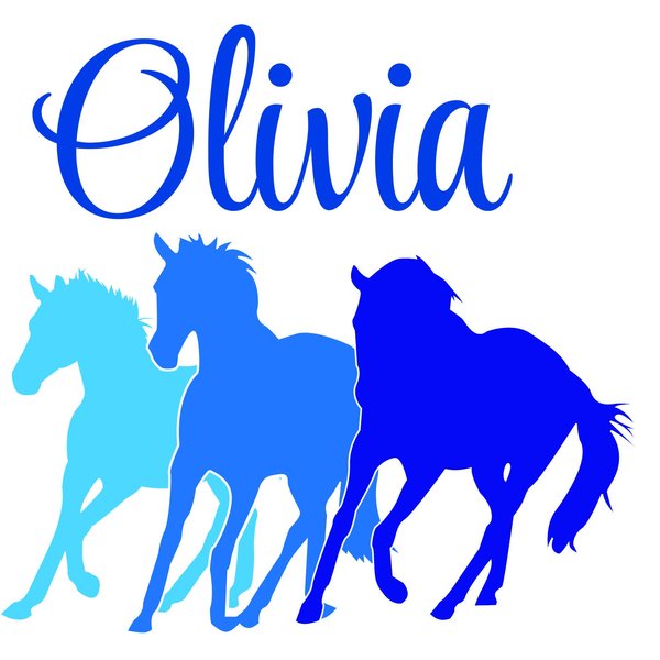 Custom Horse Decor - Personalized Custom Name Wall Decals Wall Design Stickers Vinyl Removable Children Kids Rooms Girls Boys Baby Nursery Cartoon Size 20x20 inch