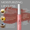 RD Alchemy - 100% Natural & Organic Lip Gloss - Perfect - Moisturizing Lip Gloss w/Mango Butter, Jojoba Oil, Vitamin E to Moisturize and Protect Lips + Dragon's Blood