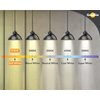 Goodlite G-83474 ST21 Clear LED Light Bulb, 7W= 80-Watt Equivalent 850 lumens Warm White 2700k E26 Base Dimmable