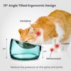 Felli Pet Oblik Anti Whisker Fatigue Cat Food Bowl Stainless Steel Shallow Dish for Cat Dog, Anti Vomiting Angled Slanted Metal Feeder, Elevated Acrylic Base for Storage (0.5Cup, Classic)