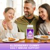 Biobor Natural Elderberry Gummies, Daily Immune Support Gummies with Vitamins C for Adults and Children Ages 4 Up, Gluten Free Vegan Elderberry Supplement (Strawberry, 60 Count)