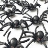 JIALWEN 50PCS Realistic Halloween Plastic Spiders Small Size Black Spiders Toys Fake Spiders Prank Props for Halloween Party Decorations