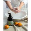 Liquid Hand Soap Olive Oil with Tangerine, Bottle 16.9 FL OZ (Pack of 1)