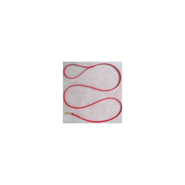 Red Dog Leash 6 Foot 1/2" Wide Beta Biothane