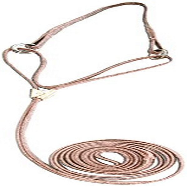 Resco Professional Cordo-Hyde Martingale Dog Show Lead, 3/16 x 42-Inch Long, Wheat
