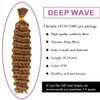 Deep Wave Bulk hair for Braiding Wet and Wavy Micro Braiding No Weft Faux Deep Wave Braiding Hair Extensions for Box Boho Braids 155g with 2 Bundles #30 (22Inch)