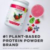 Vega Protein & Greens Tub Powder Vanilla 18.6 Ounce - Plant Based Protein Powder, Gluten Free, Non Dairy, Vegan, Non Soy, Non GMO