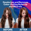 Colorproof Clear It Up Shampoo, 1.7oz - Clarifying, Detox Shampoo for Color-Treated Hair, Removes Build-Up, Odors, Hard Water Minerals, & Chlorine, Sulfate-Free, Vegan