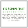 BARR-CO. Fir & Grapefruit Scent Shea Butter Lotion for Dry Skin, Bright Grapefruit and Cooling Balsam, Shea Moisturizing Lotion for Sensitive Skin, 16 fl oz