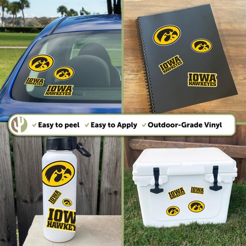 Desert Cactus University of Iowa Sticker Hawkeyes Stickers Vinyl Decals Laptop Water Bottle Car Scrapbook11.46x8.94 T1 (Type 1-1)