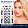 Alcastar Magnetic Eyelashes,Magnetic Eyelashes Natural Look,Magnetic Eyeliner Eyelash Kit,Magnetic Lashes Mink,Waterproof, Long Lasting, Magnetic,Easy to Apply, (Kit-A4: 10 paris+4 tubes)