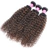 Sunber 12A Ombre Brown Curly Human Hair 3 Bundles 100% Brazilian Virgin Jerry Curly Human Hair Extensions Brown Highlight Weaves Piano Color (12 14 16) Inch Two Tone FB30 Brown Color