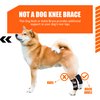 NeoAlly - Short Rear Leg Hock Brace, Dog Leg Brace for Rear Leg, Hock & Ankle Support, Dog Brace for Torn ACL & CCL, Dog Leg Sleeve with Reflective Straps, XL, Black, 1 Pair