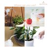 BEADNOVA Irrigation Bottle 500ml 17oz Indoor Plant Watering Can Water Squirt Bottle Plastic Rinse Bottle for Eyelash Extensions Eye Wash Tattoo Lab (3pcs)