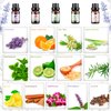 Essential Oils Set, Aromatherapy Essential Oil Kit for Diffuser, Massage, Skin Care (26 x 5ml) - Eucalyptus, Lavender, Tea Tree, Peppermint, Lemongrass, Frankincense, Cinnamon, Sandalwood