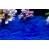 Gorgeous Aquarium Decorated with Aquarium Decorations Glass Beads Aquarium, 1LB Enough Decorative Gravel Rock Gravel Pebbles gem (Dark Blue)