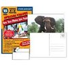 Make-Your-Own 4x6 Photo Postcards; 12+3 Pack